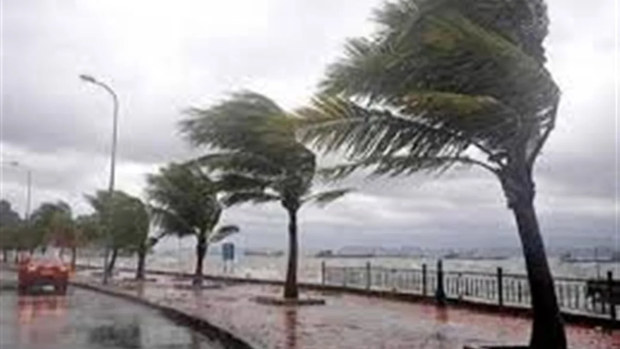 تحذيرات الأرصاد.. تفاصيل انتشار الشبورة والرياح في طقس السبت 21 فبراير